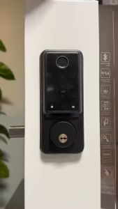 Smart Deadbolt Locks for Home Alexa Wifi Bluetooth TTlock App Biometric Fingerprint Keyless Digital Keypad Entry Door Lock TUYA WIFI App