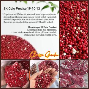20 GRAM PUPUK MERAH SLOW RELEASE SK COTE PRECISE 19-10-13+25MG0+TE 200