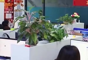 Ali9 Girls Princess Dress Tulle Tutu Little Girl Dresses of Bride Fellow Kids Wedding Dress Childrens Host Performance Costume Long Dress Evening Dress