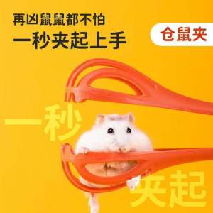 Safe & Interactive Hamster Trap: Golden Retriever Hamster Toy & Anti-Bite Accessories
