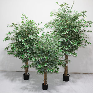 Azgalery PBP170: Minificus Buatan COD & Ornamen Interior Artificial