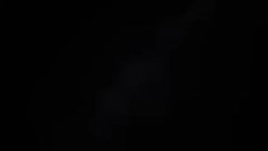 Bosch Blower Cordless Air Blower Angin Blow Electric Blower and Vacuum Leaf Wind Blower