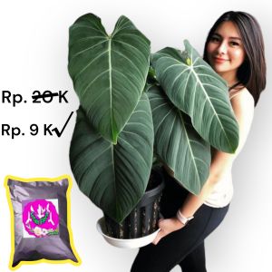 Media tanam Poros Premium Untuk Segala jenis tanaman hias Siap Pakai