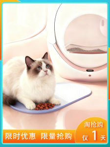 Anti-Slip Silicone Pet Feeding Mat for Cats And Dogs Water Bowl Proof Leak Proof Dishwasher Safe Dog Bowls Cat Bowls Cat Food Bowls