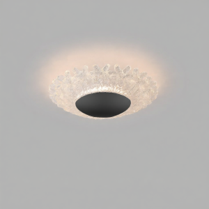 DGY | Hall Corridor Closet Advanced Feeling Ceiling Light New