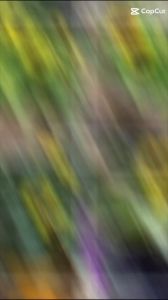 (Gói 40 hạt) Hạt Giống Hoa Hướng Dương Lùn F1(Rất rễ trồng & Hoa nở đẹp-Tổng kho hạt giống giá rẻ