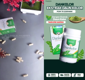 Obat Maag Paling Ampuh Asam Lambung Naik Lambung Kronis Gerd Gastritis Tukak Lambung Tumor Lambung Sakit Perut Perih Melilit Nyeri Ulu Hati Dada Panas Sesak Nafas - Dankelor 60 Kapsul Asli Original