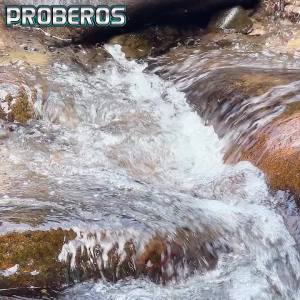 Proberos Metal Cast Jig Spoon 7-30g Mồi Nhân Tạo Phát Sáng Để Câu Cá Trên Bờ Biển Bass Fishing Tackle Jigging Lure