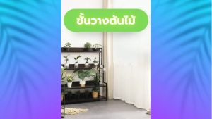 ชั้นวางต้นไม้ ไม่ชั้นต้นไม้ มีชั้น 3/4/5/6 ชั้น รับน้ำหนักได้มาก ฐานเหล็ก แข็งแรง ประกอบง่าย มีคู่มือ พร้อมส่ง เก็บเงินปลายทาง COD