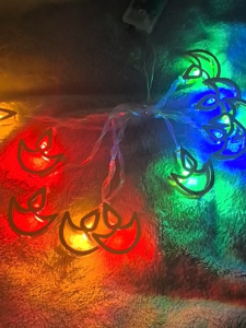 ✨2M 10LED Deepavali Lights Battery Powered 1 Mode Warm White Metal String Lights for Diwali/ Deepavali Decoration