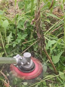 ใบมีดตัดหญ้า เครื่องตัดหญ้า ใบเลื่อยวงเดือน แบบดาวกระจาย พับเก็บเอง เมื่อเจอ หิน ของแข็ง รุ่น RY-06 Replica shop