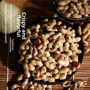 Freshly Roasted Peanuts in Shell Red Skin