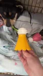 Badminton Shape Rubber Dog Chew Toy Tough Bite Resistant Molar Training Stick Durable Pet Toy For Small Medium Large Dogs