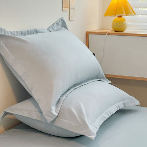 Elegant Winter Thick Washed Cotton Sateen Brushed Pillowcase Single Pair Pure Color Bedding Zipper Closure Breathable Sweat Absorbent