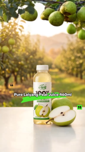 [Yi Zhi Bi] 100% Laiyang Pear Juice 460ml x 15 Bottles Singapore