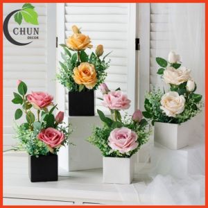 Hoa Giả Bình Hoa Decor Trang Trí Bàn Kệ Tủ Giá Sách Nhiều Mẫu