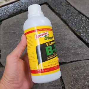 Pupuk Vitamin B1 Original Liquinox 470ml Free 1 Kilap Daun