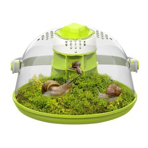 Snail feeding box snail hatching container scientific observation of student feeding