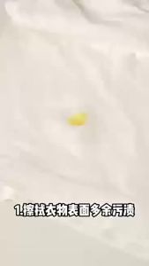 (SG Seller) Elephant Kiss Stain Remover Portable Ivory Magic Stain Remover
