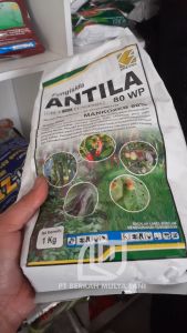 Fungisida Antila 80 WP 1 Kg Obat Hama Tanaman Pengendali Bercak Dan Busuk Daun