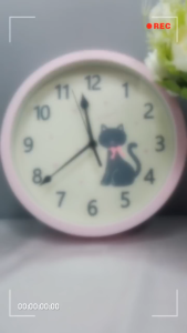 [ Woosilver ] Đồng Hồ Treo Tường “Meow!” Secodhand - ĐHTT60