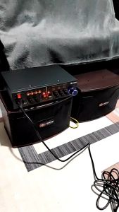 Joson Karaoke Professional Audio Speaker With Amplifier 300Watts JS-6000(1 Paired 6 Inches Speaker 1 Amplifier and Microphone)