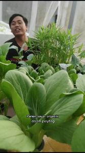 media semai cocopeat block 1 kg super kering siap pakai LOW EC MENGEMBANG- media tanam hidroponik