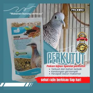 PAKAN KHUSUS BURUNG PERKUTUT - PROBIRD