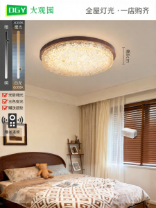 DGY | Vintage Romantic Luxury Ceiling Light