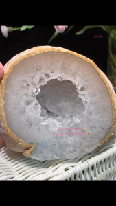 Natural Raw Yellow Skin with Clear Quartz🔮 内体白晶带黄原皮⭐️  1.3kg