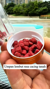 Umpan pancing pellet rasa cacing tanah Umpan untuk ikan mas ikan mas rumput ikan nila umpan untuk menarik semua jenis ikan air tawar