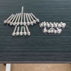 น็อตชุดสีหัวเฟือง 12ตัว + น็อตแคร้งเครื่องหัวเฟือง 16ตัว เลสแท้ Tena เทน่า สินค้ามี 3 ตัวเลือก