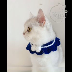 DAYUENZHI Kolar Kucing Knitting Yarn Cat Collar 25-35CM 宠物猫项圈