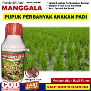 Pupuk Ampuh PERBANYAK ANAKAN PADI MANGGALA 500ML Pupuk NPK Cair Penyubur Akar Daun Batang Bunga dan Buah Padi Panen Melimpah Lebih Banyak dan Besar Berbobot serta Meningkatkan Imunitas Daya Tahan Penyakit Hama Padi Obat Memperbanyak Anakan Padi Terbaik