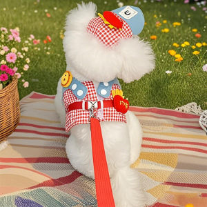 Outdoor Pet Supplies Dog Harness Set Cat Sun Hat Chest Back Travel Outfit Pet Accessories Puppy Clothes Shade Outdoor Activities