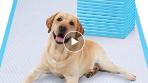 Eason Mall COD BUY 1 SHIP 4 Pet Pee Pad Dog Pee Training Pad Cat Pee Pad Pet Wee Pee Poop Training Pad