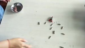 4inch Stainless Steel Magnetic Part Tray For Bolts Nuts Screw