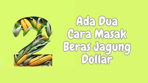 Beras Jagung Dollar Bebas Gluten 500 Gram