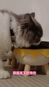 Elevated Stainless Steel Cat Dog Bowl Non-Slip Anti-Spill Protective Neck Pet Feeding Bowl Bekas Makanan Kucing