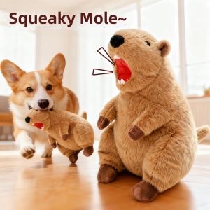 HOOPET | Interactive Squeaky Toy
