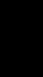 Roda Troli Mati 2 1/2\\\" - Aksesoris Troli untuk E-Commerce