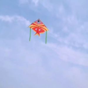 ว่าว ว่าวปลาดอรี่ ขนาด 1.3 เมตร น่ารัก สีสวย สดใส พร้อมเชือก50เมตร