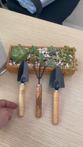 BỘ DỤNG CỤ LÀM VƯỜN 3 MÓN SIZE TRUNG - BỘ DỤNG CỤ 3 MÓN - TIỆN LỢI DỄ THƯƠNG DỄ SỬ DỤNG