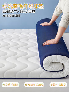 Home Use Soft Matress Bed Pad for Renting Single Person Bedroom Mat Non-Sagging Winter Summer Dual Use Maternal And Infant Grade