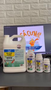 API ALGAE CURE POND - Vi Sinh phân huỷ phân cá tảo làm trong nước giảm bụi cực nhanh (HÀNG CTY)