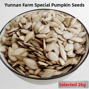 Handpicked Original Flavor Old Variety Pumpkin Seeds from Yi Family Self-grown in Lao Mountain Yunnan Snacks/Nuts/Local Specialties
