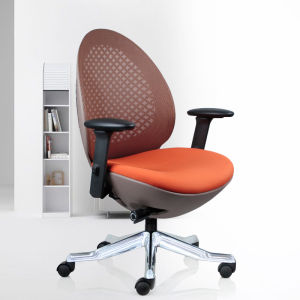 Adjustable Ergonomic Study Chair for Teens And Young Adults Bedroom Computer Desk Chair University Dormitory Home Library Rotatable