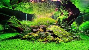 LED โคมไฟพิพิธภัณฑ์สัตว์น้ำ TH2LED Aquarium Light  Aquatic Plant Light Aquatic Decor Ikan Lampu Akuarium