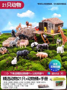 ของเล่นสมมติไหปลาร้าสัตว์เลี้ยงแบบจำลองขนาดเล็กสำหรับเด็ก 3-6 ปี ของเล่นไหปลาร้าสัตว์ประหลาดสำหรับเด็กชายและเด็กหญิง