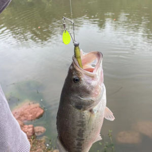 10pcs Rangkaian Blade Soft Frog: Alat Olahraga & Aksesoris Permainan